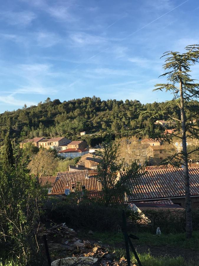 Chambres D Hotes Le Clos Des Vins D Anges Saint-Pierre-des-Champs Екстер'єр фото