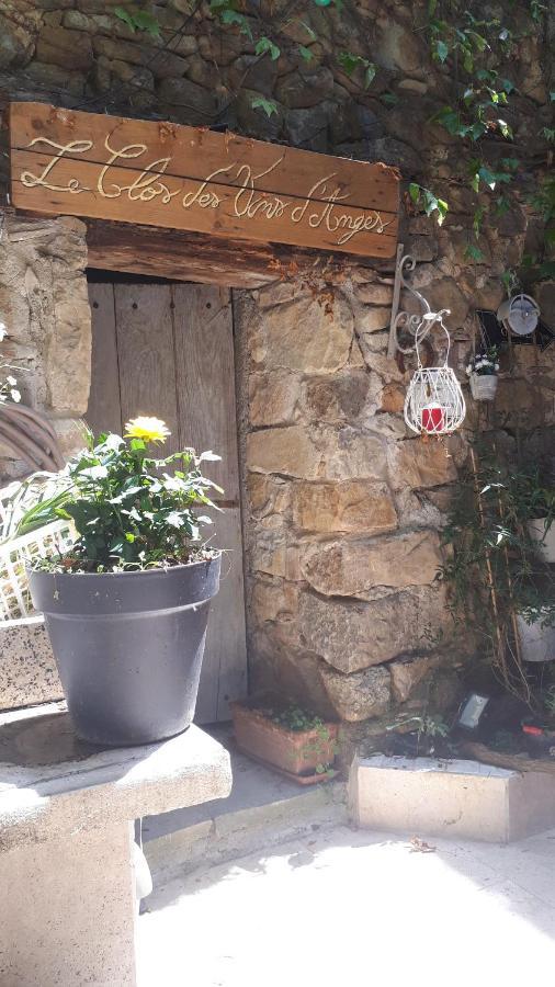 Chambres D Hotes Le Clos Des Vins D Anges Saint-Pierre-des-Champs Екстер'єр фото